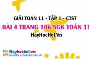 Giải bài 4 trang 106 Toán 11 tập 1 SGK Chân trời sáng tạo